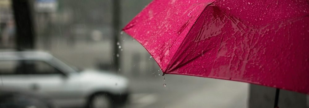 umbrella insurance Puyallup WA