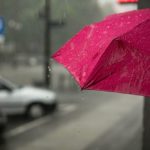 umbrella insurance Puyallup WA