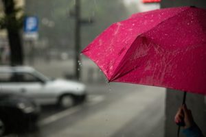 umbrella insurance Puyallup WA