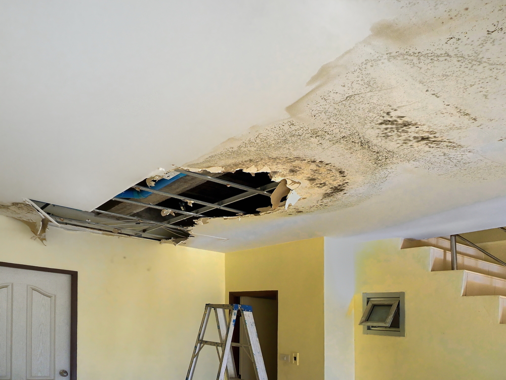 Does Home Insurance Cover Water Damage, Water Leak In Basement Covered By Insurance