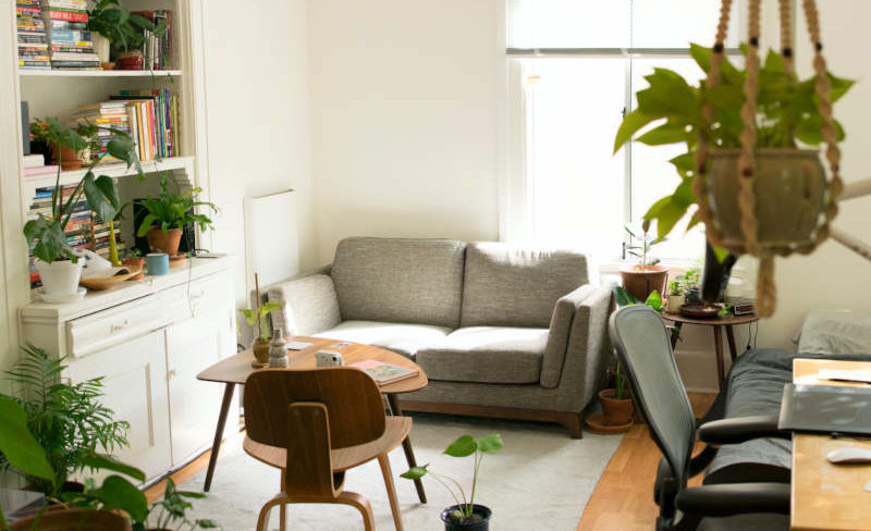 couch in apartment with plants