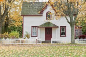 house with tree aligned in the center