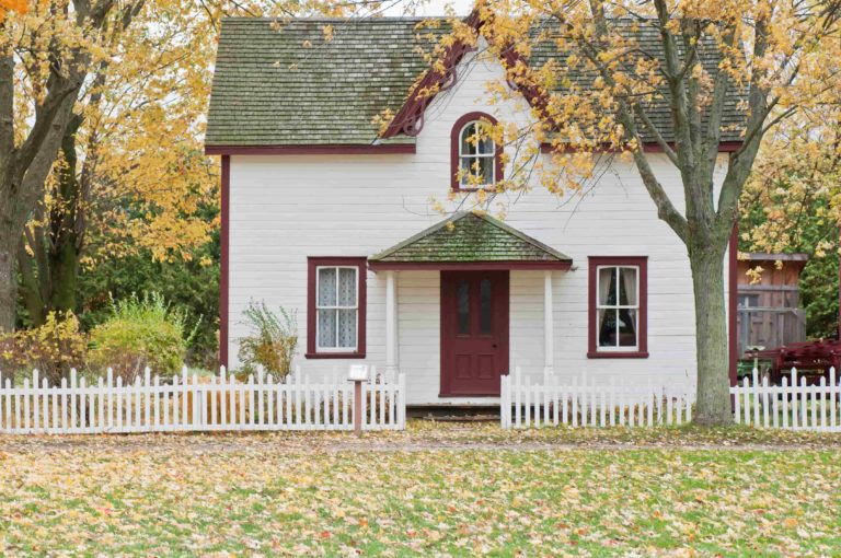 house with tree aligned in the center