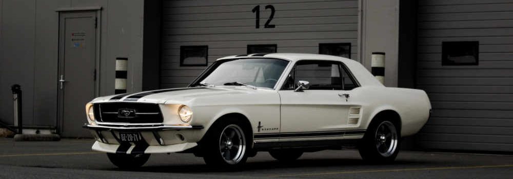classic white mustang