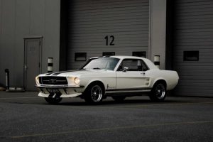 classic white mustang