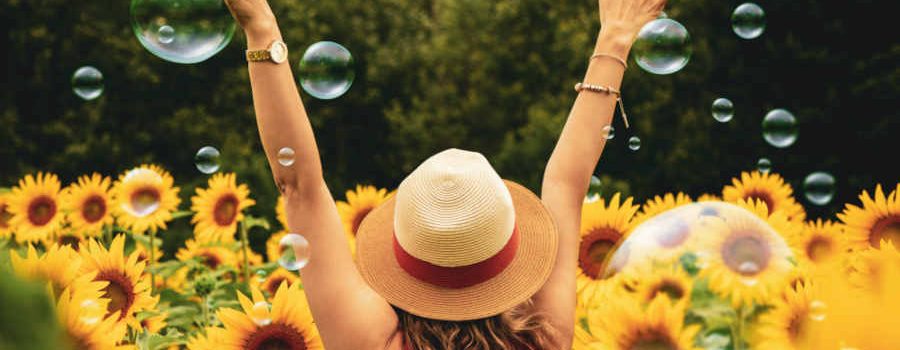 sunflower festival